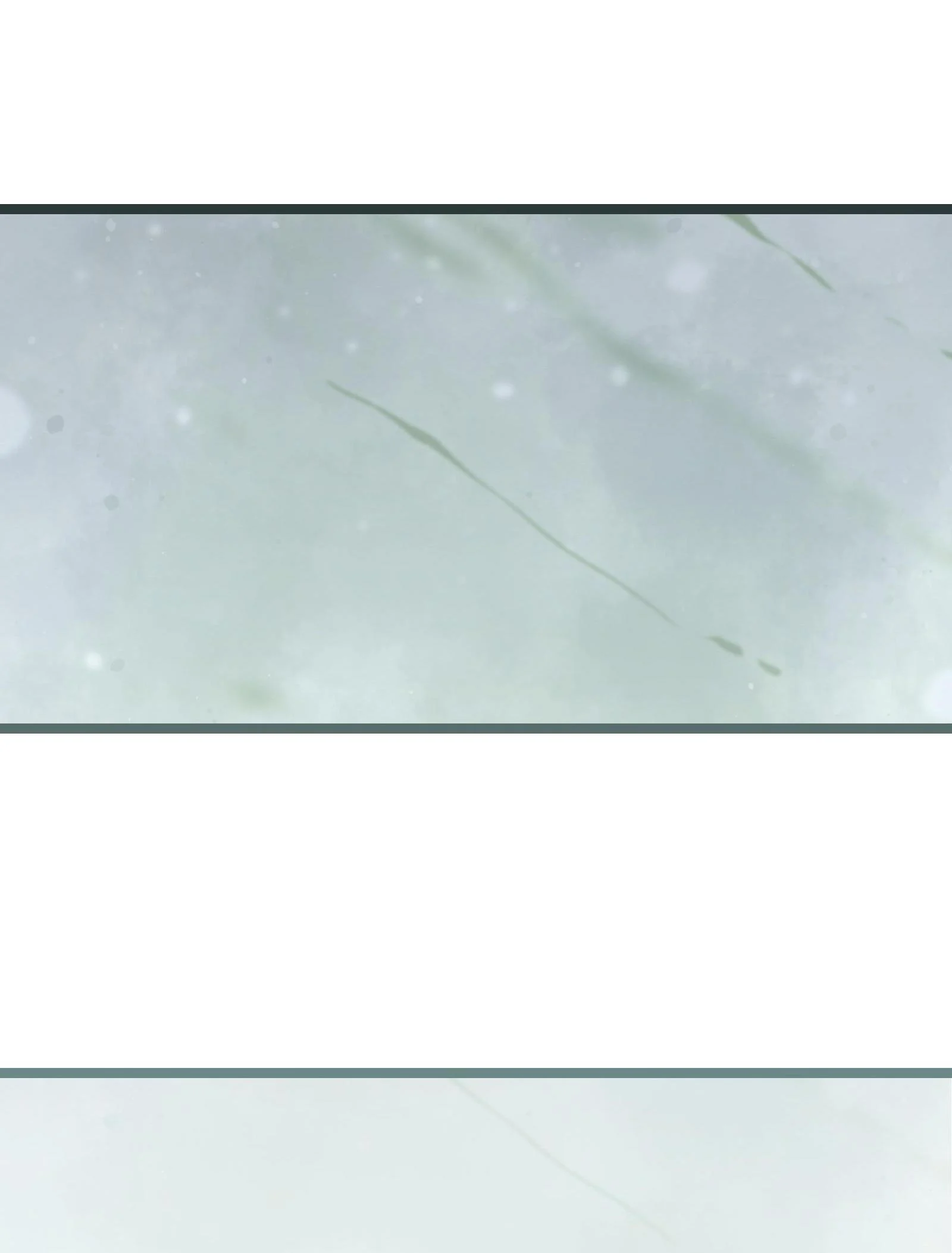 Post-Apocalyptic Dispatch Company Chapter 49.2 - Page 19