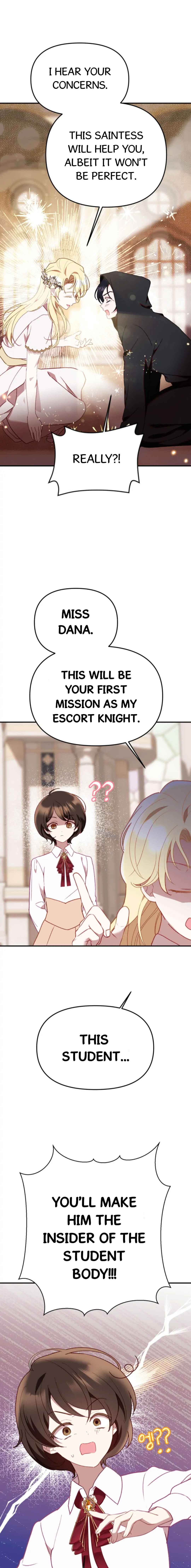 Protect the Fake Saint! Chapter 3 - Page 17