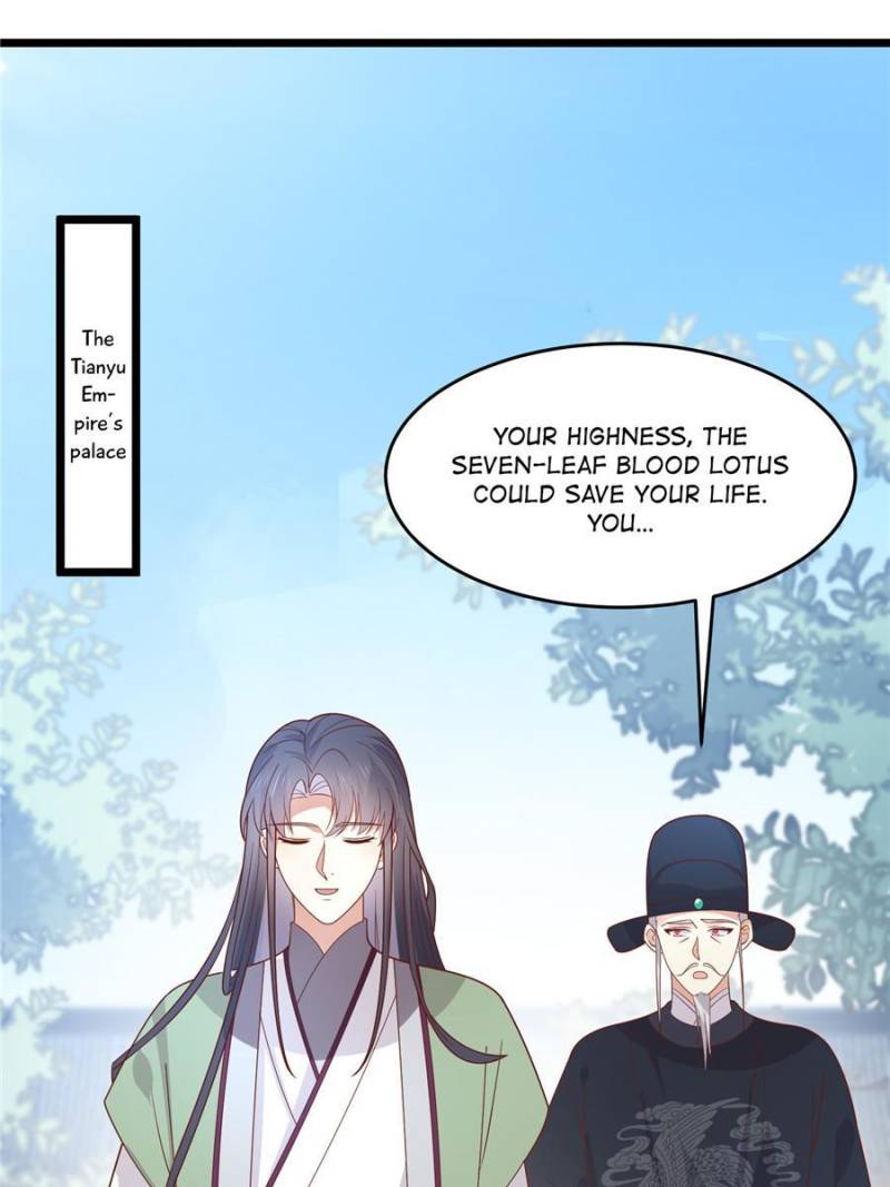 Pupillary Master Chapter 262 - Page 0