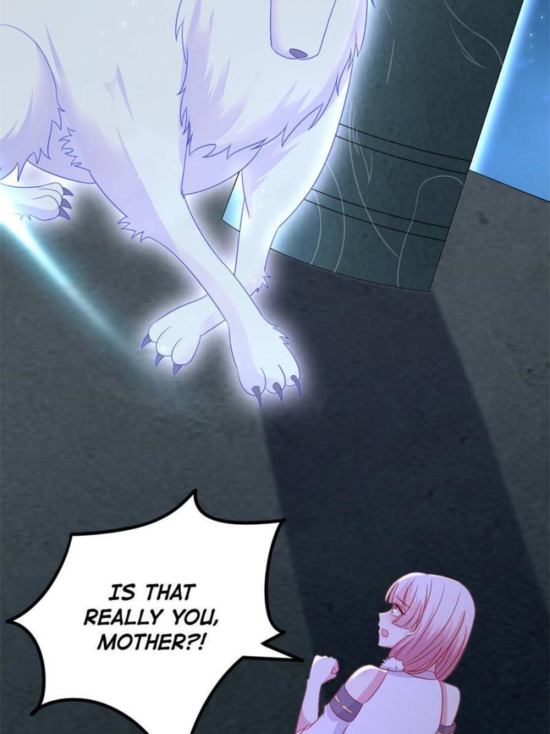 Pupillary Master Chapter 321 - Page 8