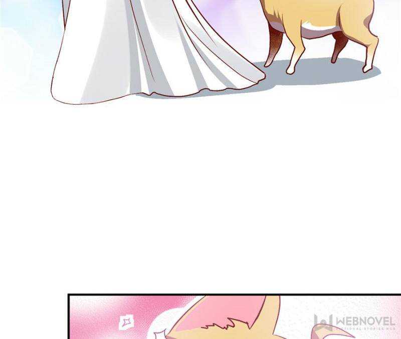 Reborn as a Dog Chapter 2 - Page 38