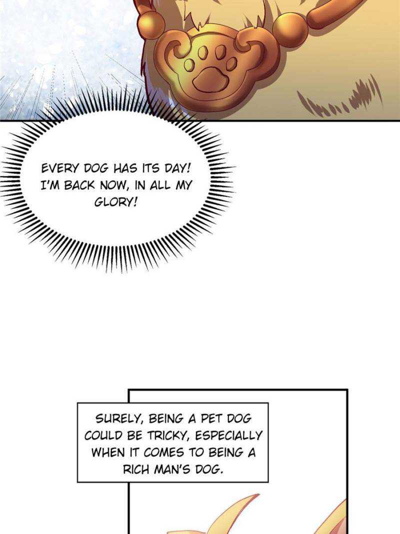 Reborn as a Dog Chapter 4 - Page 7