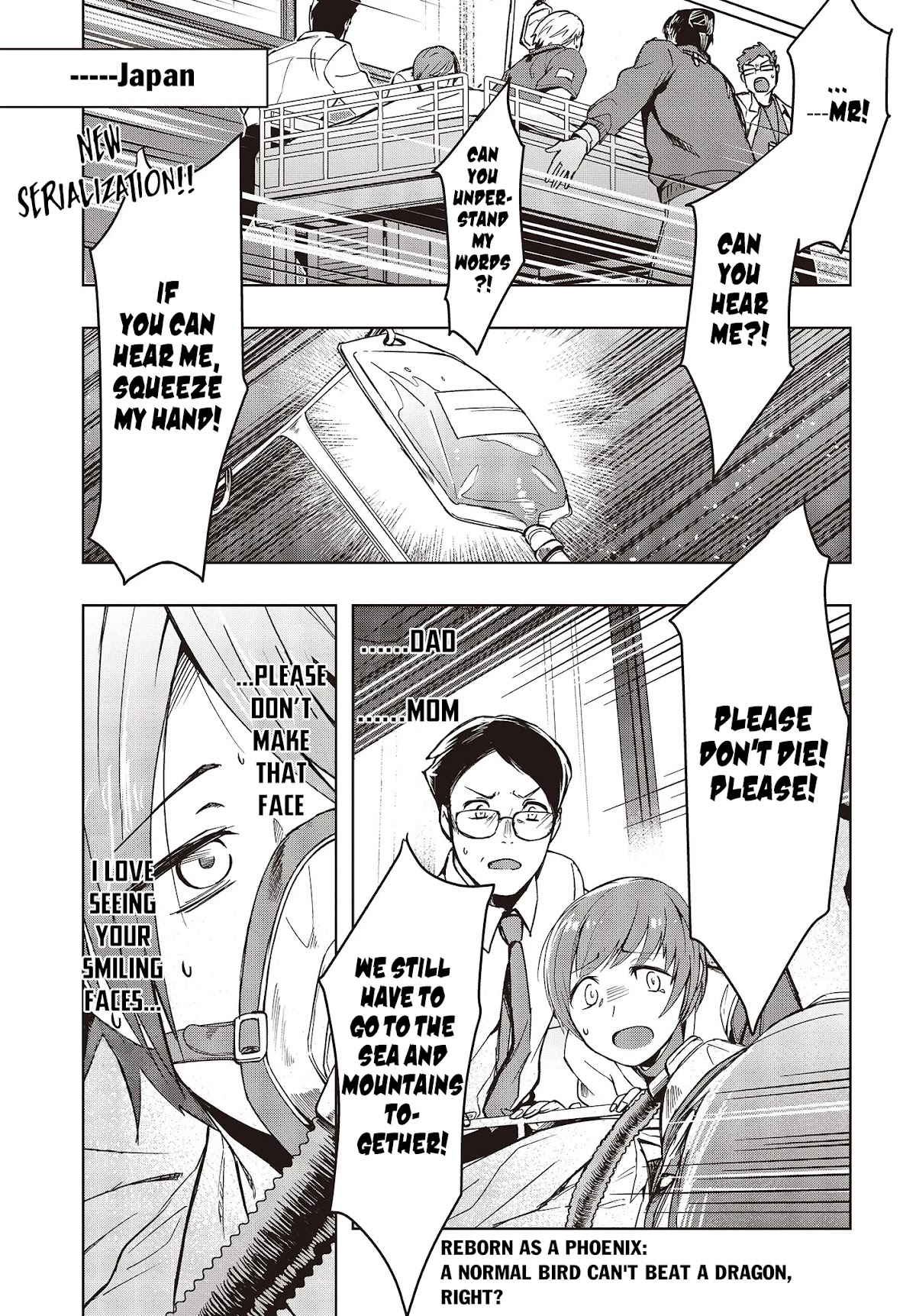 Reborn as a Phoenix: A Normal Bird Can’t Beat a Dragon, Right? Chapter 1 - Page 2