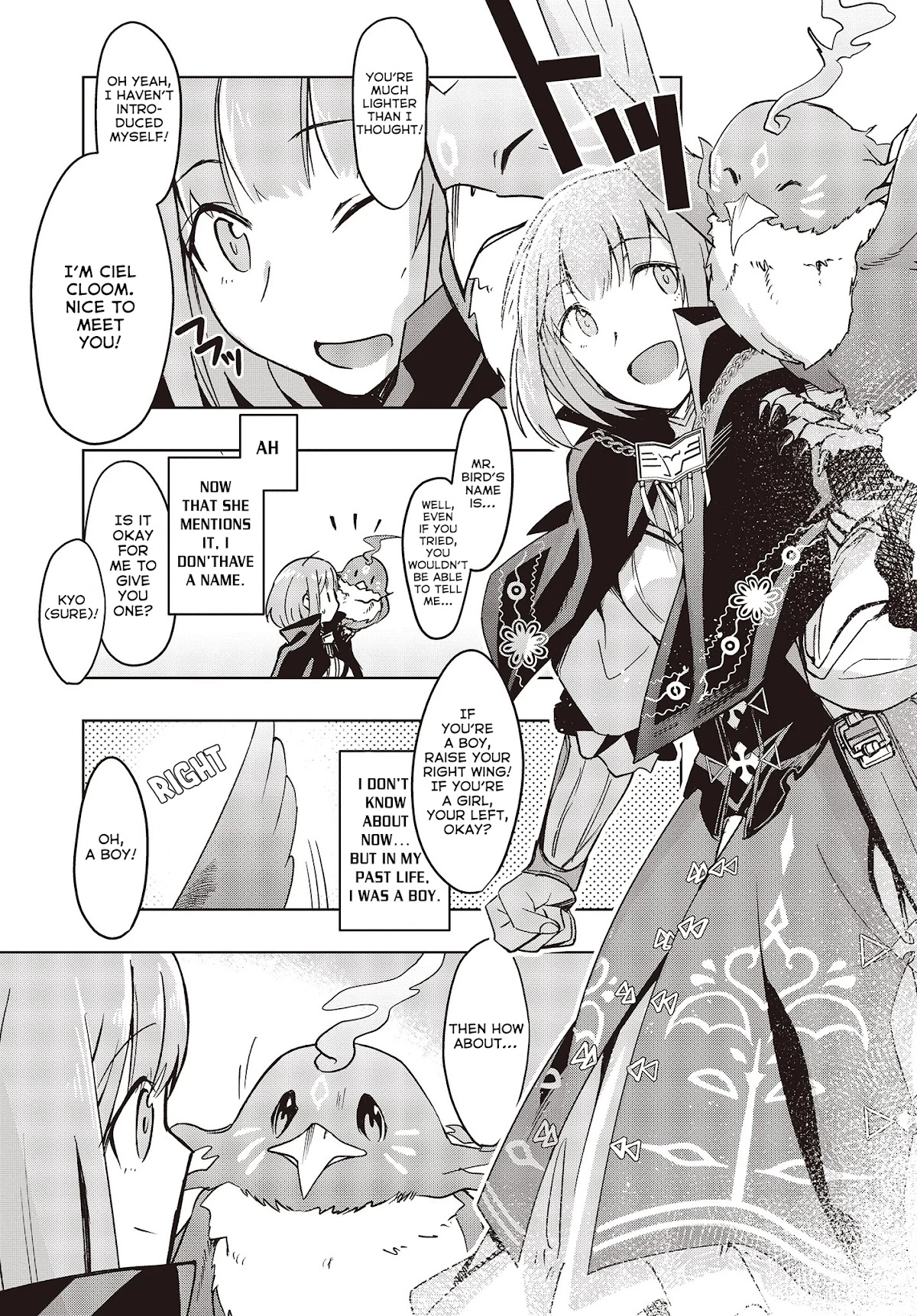 Reborn as a Phoenix: A Normal Bird Can’t Beat a Dragon, Right? Chapter 1 - Page 19