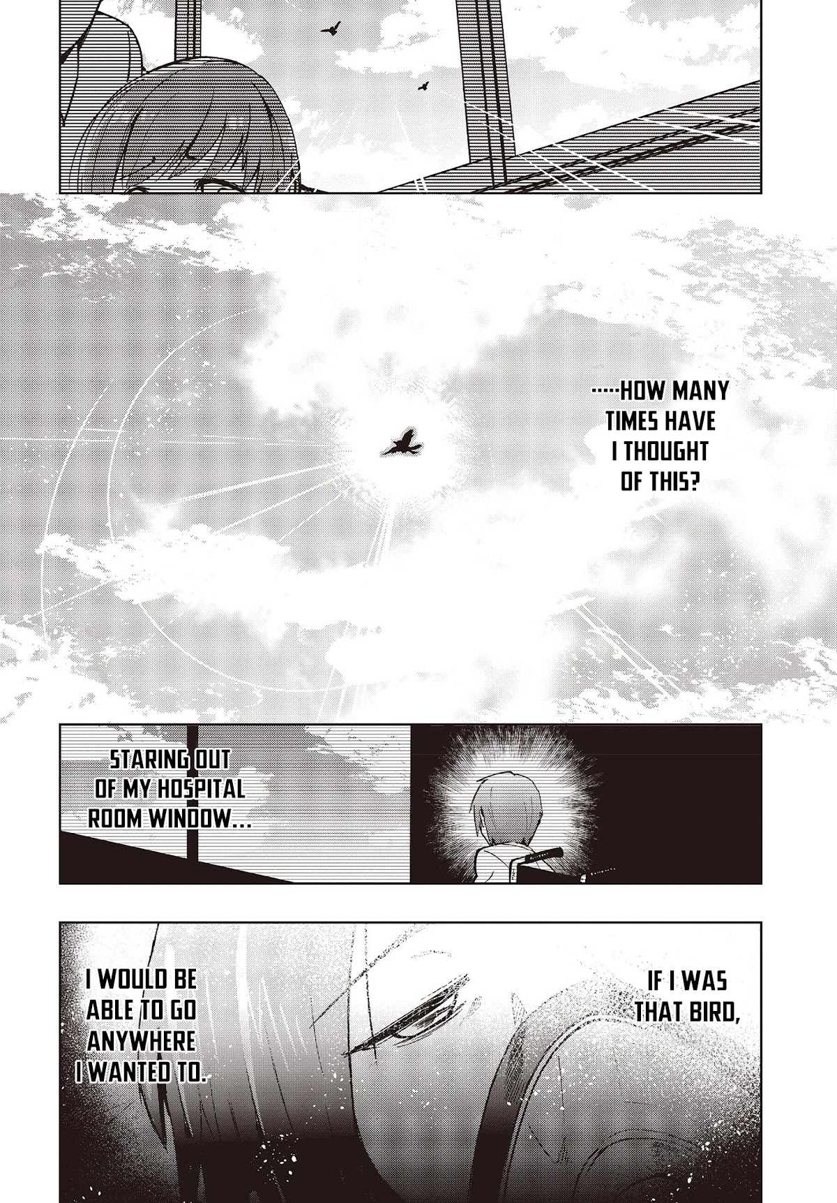 Reborn as a Phoenix: A Normal Bird Can’t Beat a Dragon, Right? Chapter 1 - Page 3