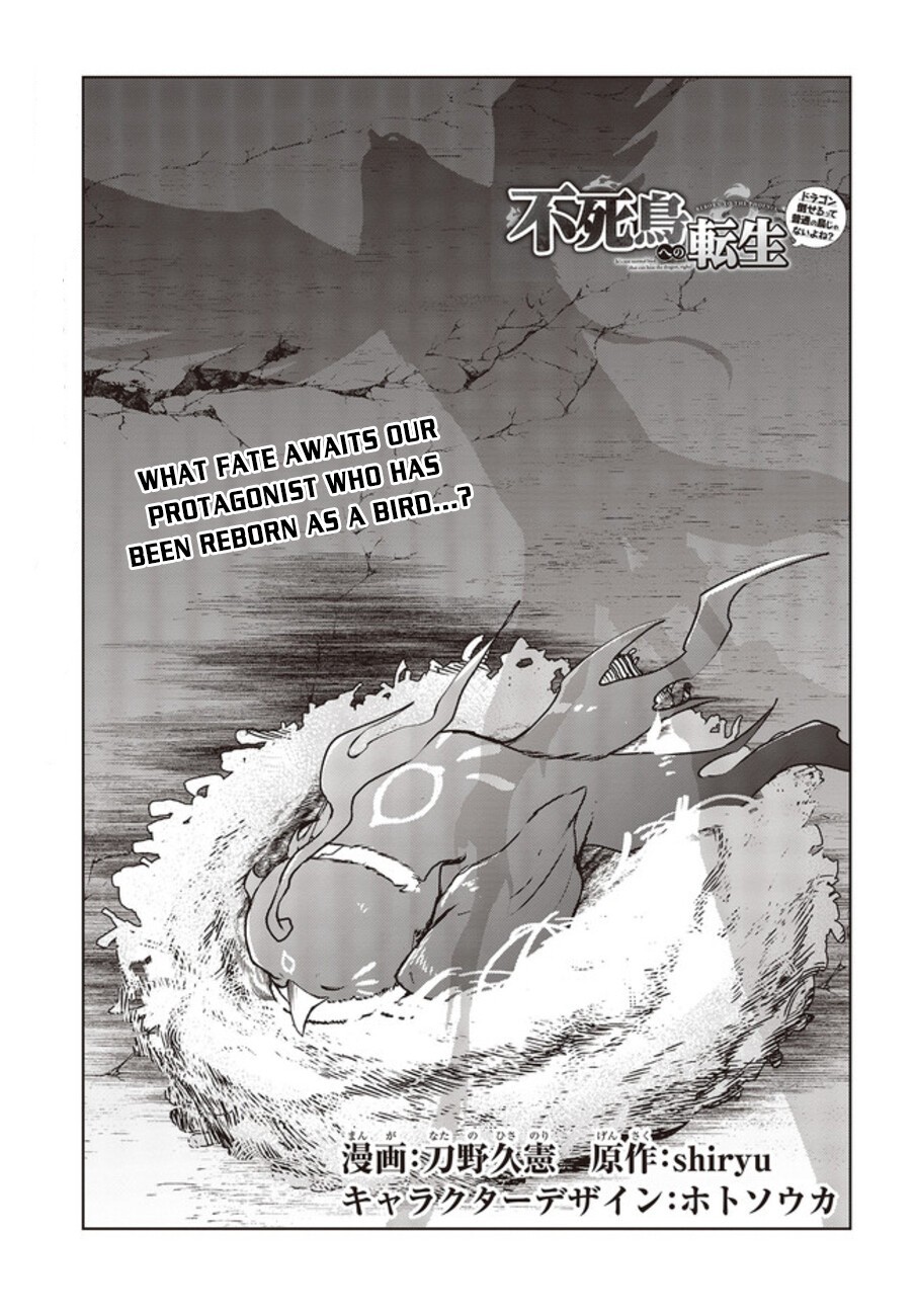 Reborn as a Phoenix: A Normal Bird Can’t Beat a Dragon, Right? Chapter 2 - Page 2