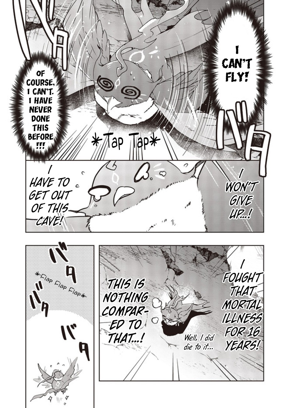Reborn as a Phoenix: A Normal Bird Can’t Beat a Dragon, Right? Chapter 2 - Page 12