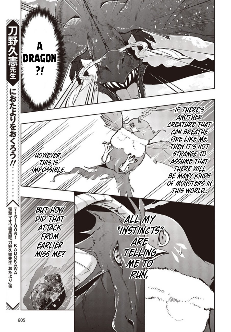 Reborn as a Phoenix: A Normal Bird Can’t Beat a Dragon, Right? Chapter 2 - Page 24