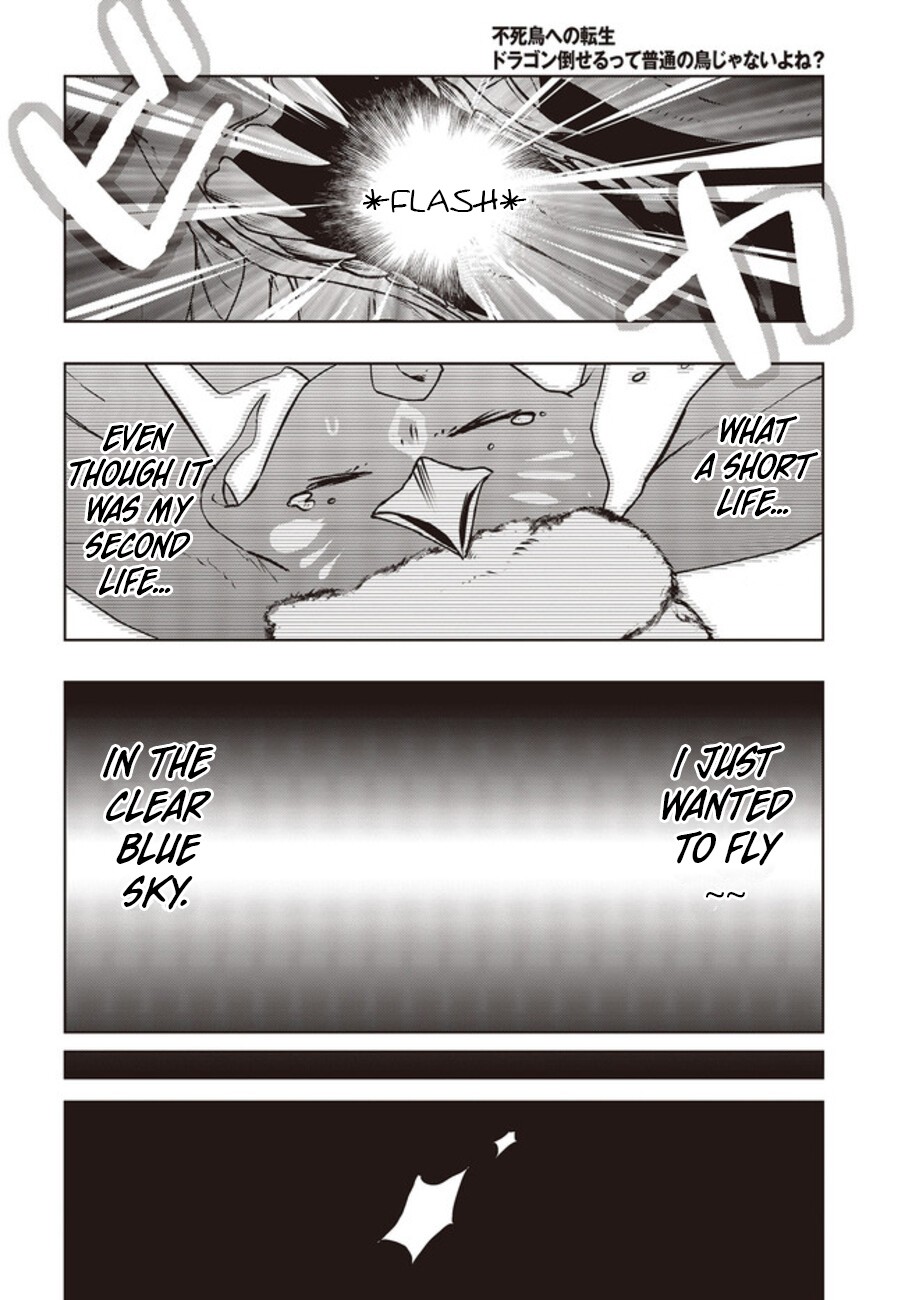 Reborn as a Phoenix: A Normal Bird Can’t Beat a Dragon, Right? Chapter 2 - Page 25