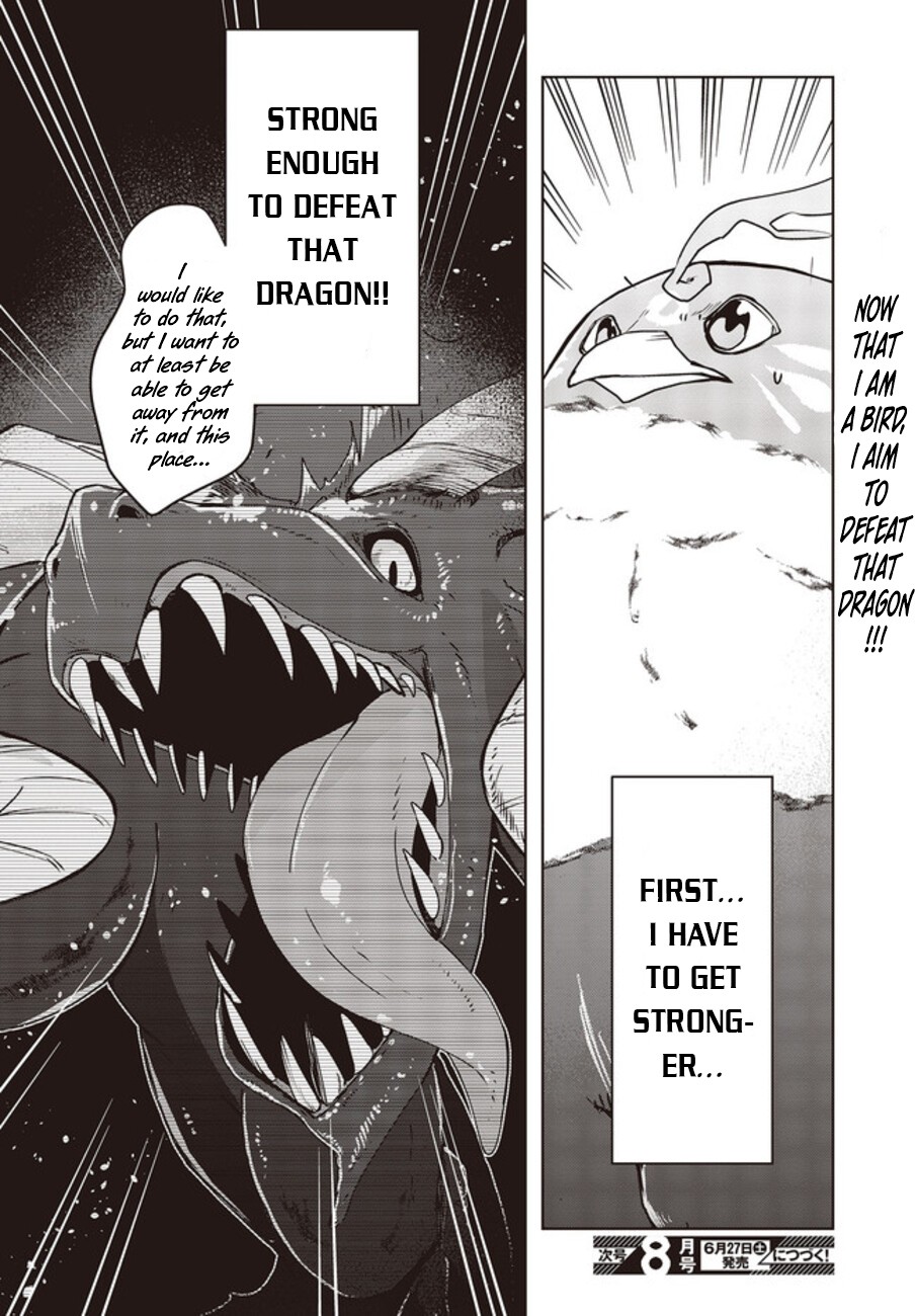 Reborn as a Phoenix: A Normal Bird Can’t Beat a Dragon, Right? Chapter 2 - Page 27