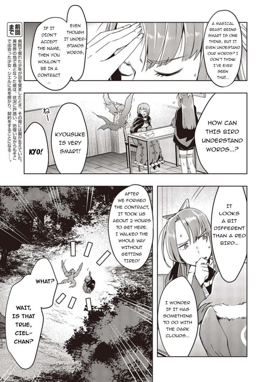 Reborn as a Phoenix: A Normal Bird Can’t Beat a Dragon, Right? Chapter 2 - Page 4