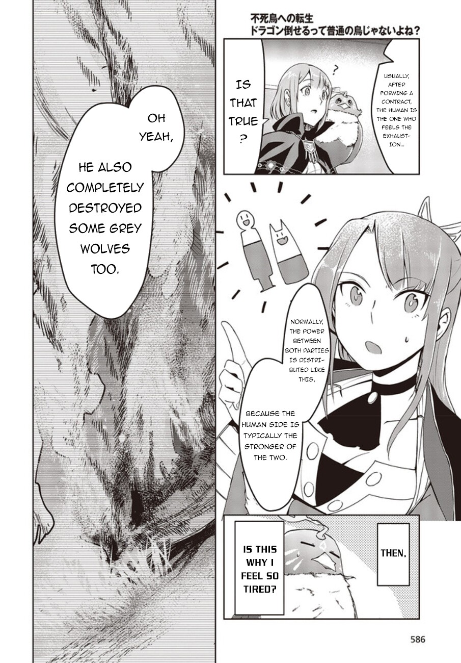 Reborn as a Phoenix: A Normal Bird Can’t Beat a Dragon, Right? Chapter 2 - Page 5