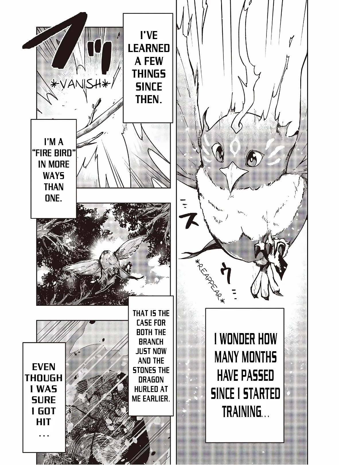 Reborn as a Phoenix: A Normal Bird Can’t Beat a Dragon, Right? Chapter 3 - Page 4