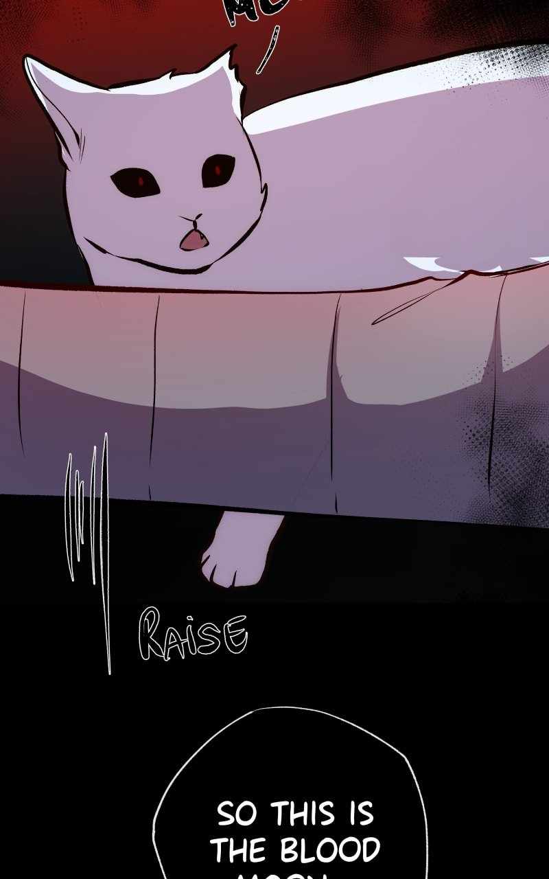 Reincarnation of the Heavenly Demon Chapter 191 - Page 65