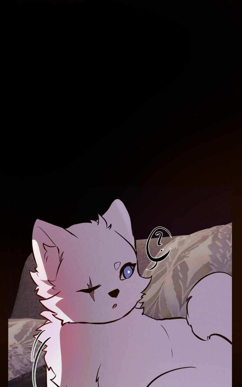 Reincarnation of the Heavenly Demon Chapter 196 - Page 51