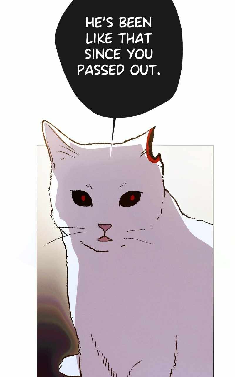 Reincarnation of the Heavenly Demon Chapter 204 - Page 23