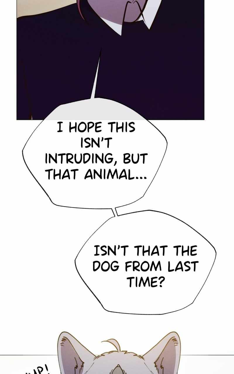 Reincarnation of the Heavenly Demon Chapter 206 - Page 73