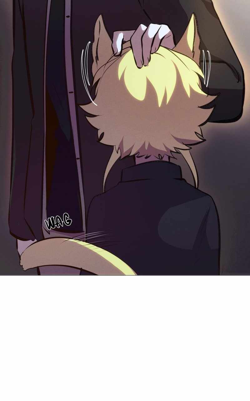Reincarnation of the Heavenly Demon Chapter 214 - Page 19