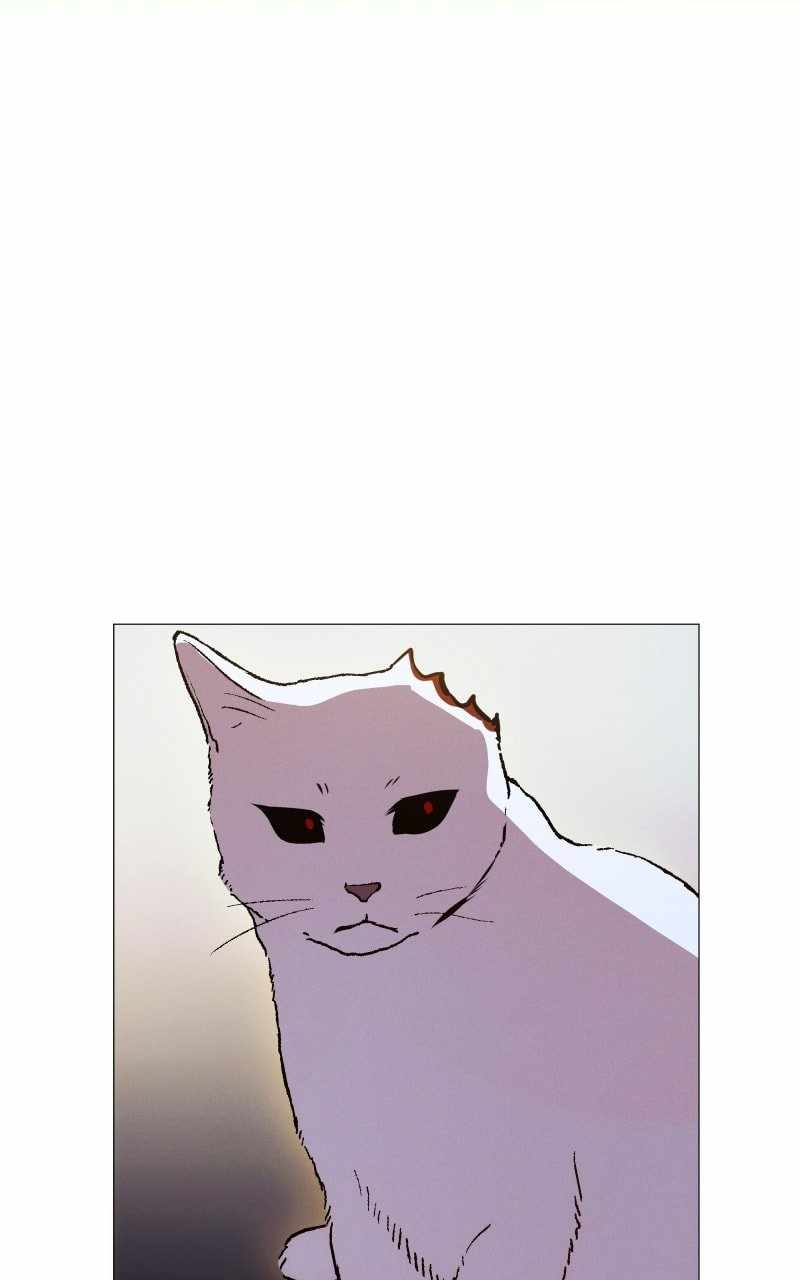 Reincarnation of the Heavenly Demon Chapter 215 - Page 49