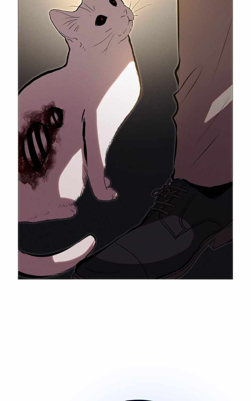 Reincarnation of the Heavenly Demon Chapter 224 - Page 71