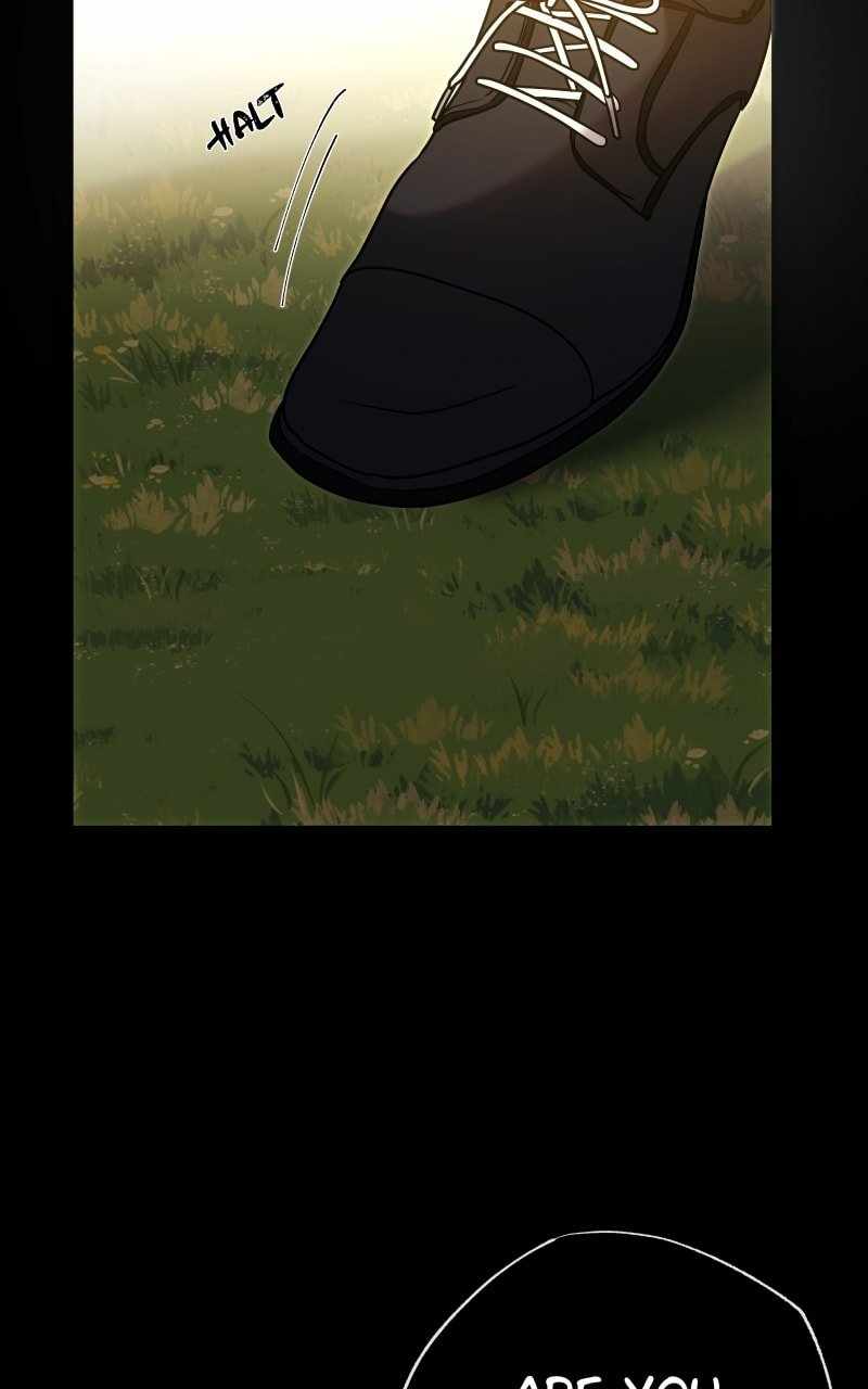 Reincarnation of the Heavenly Demon Chapter 229 - Page 13