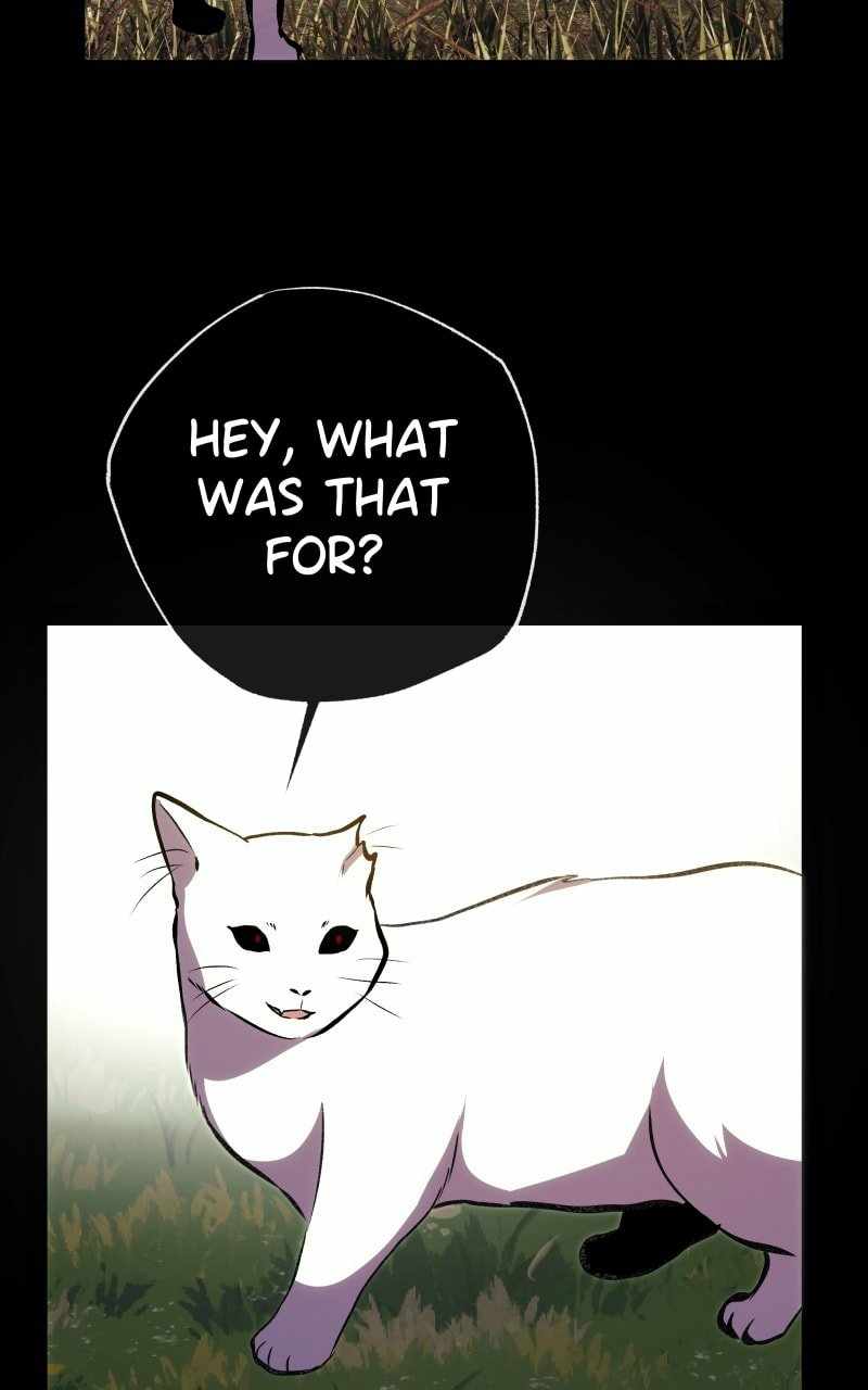 Reincarnation of the Heavenly Demon Chapter 229 - Page 33
