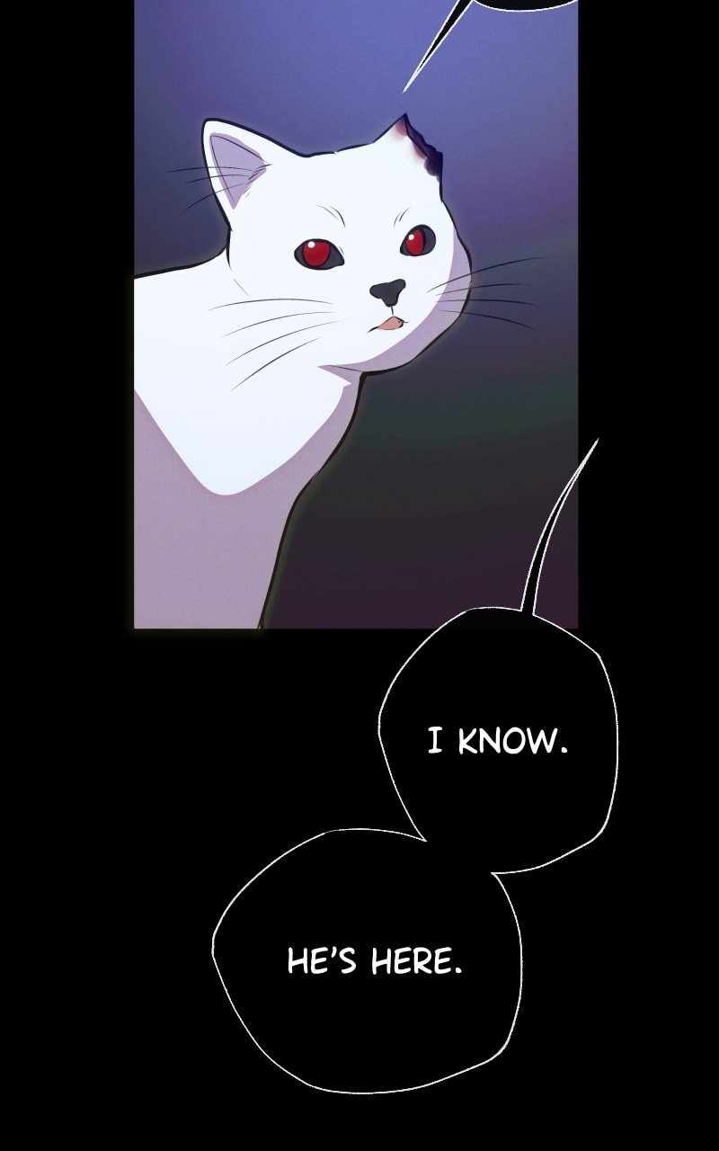 Reincarnation of the Heavenly Demon Chapter 246 - Page 86