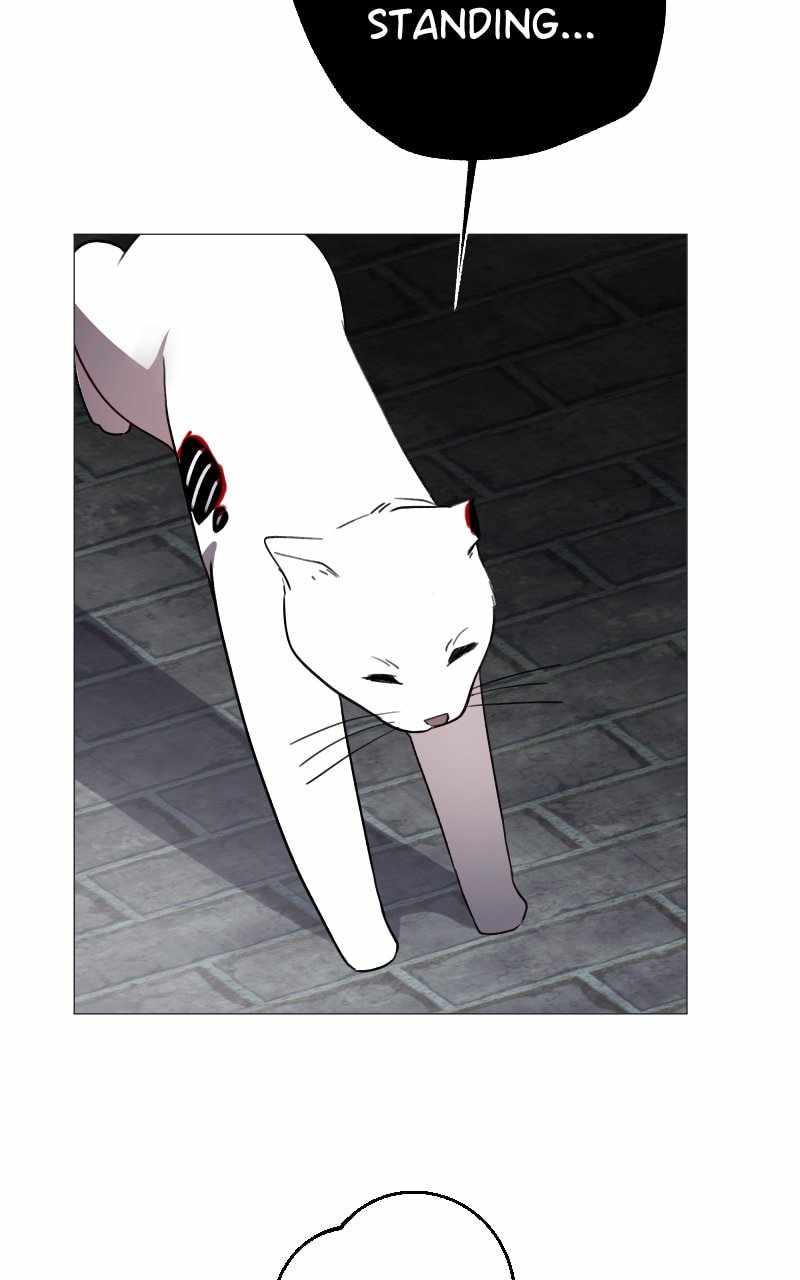 Reincarnation of the Heavenly Demon Chapter 250 - Page 18