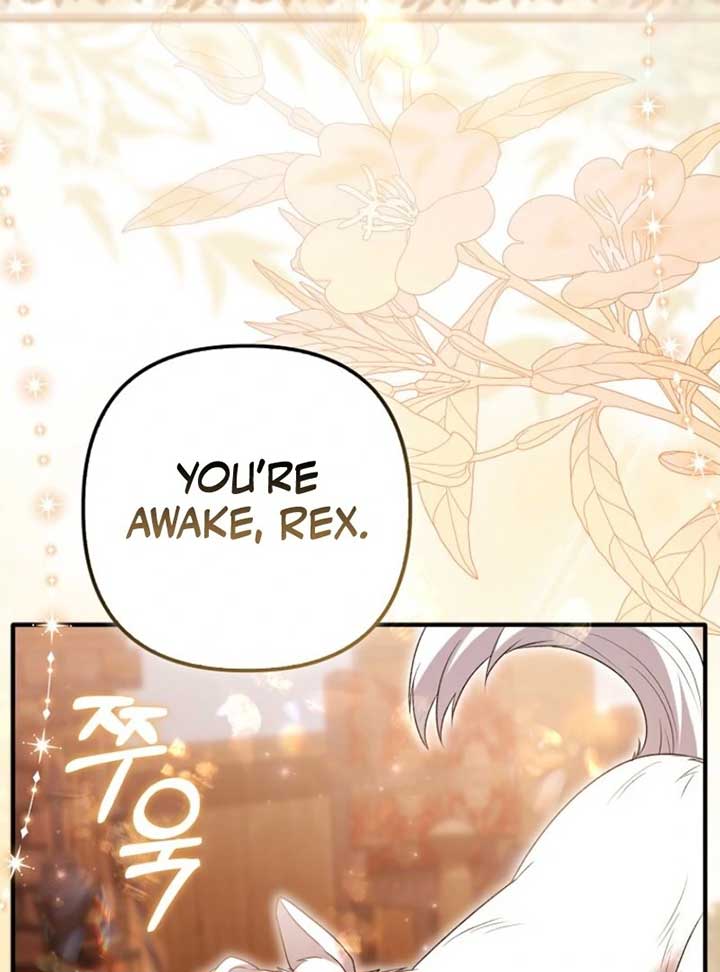 Rejecting the Perfect Marriage Chapter 35 - Page 70