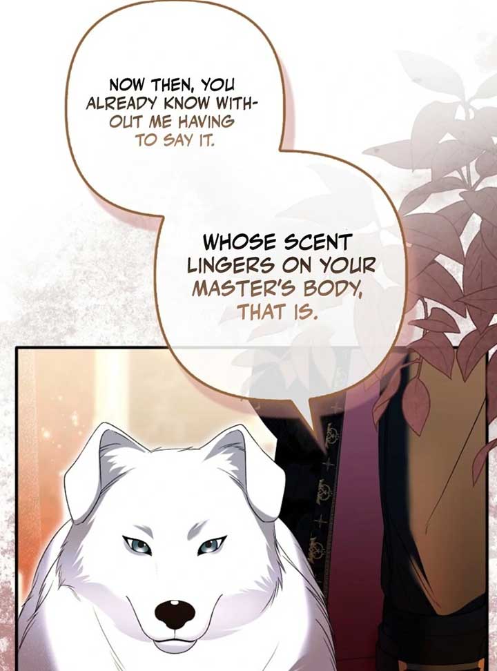 Rejecting the Perfect Marriage Chapter 36 - Page 67