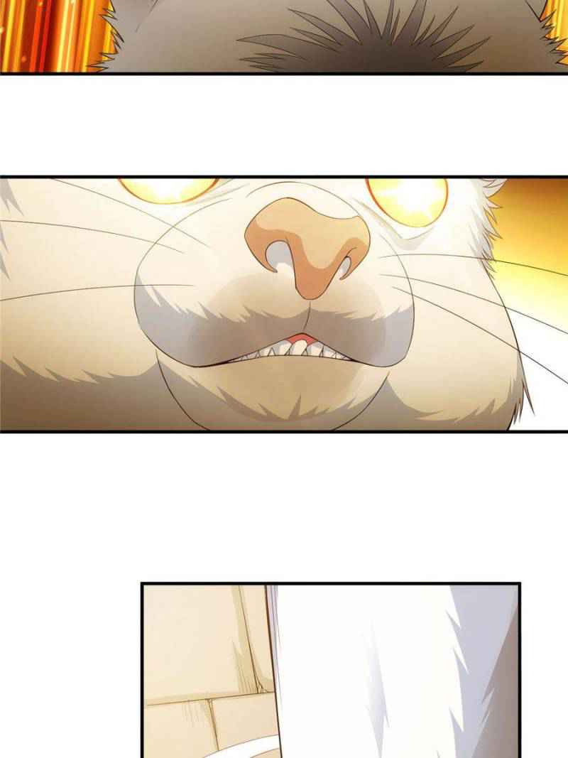 Rich Player (Billionaire Player) Chapter 141 - Page 12