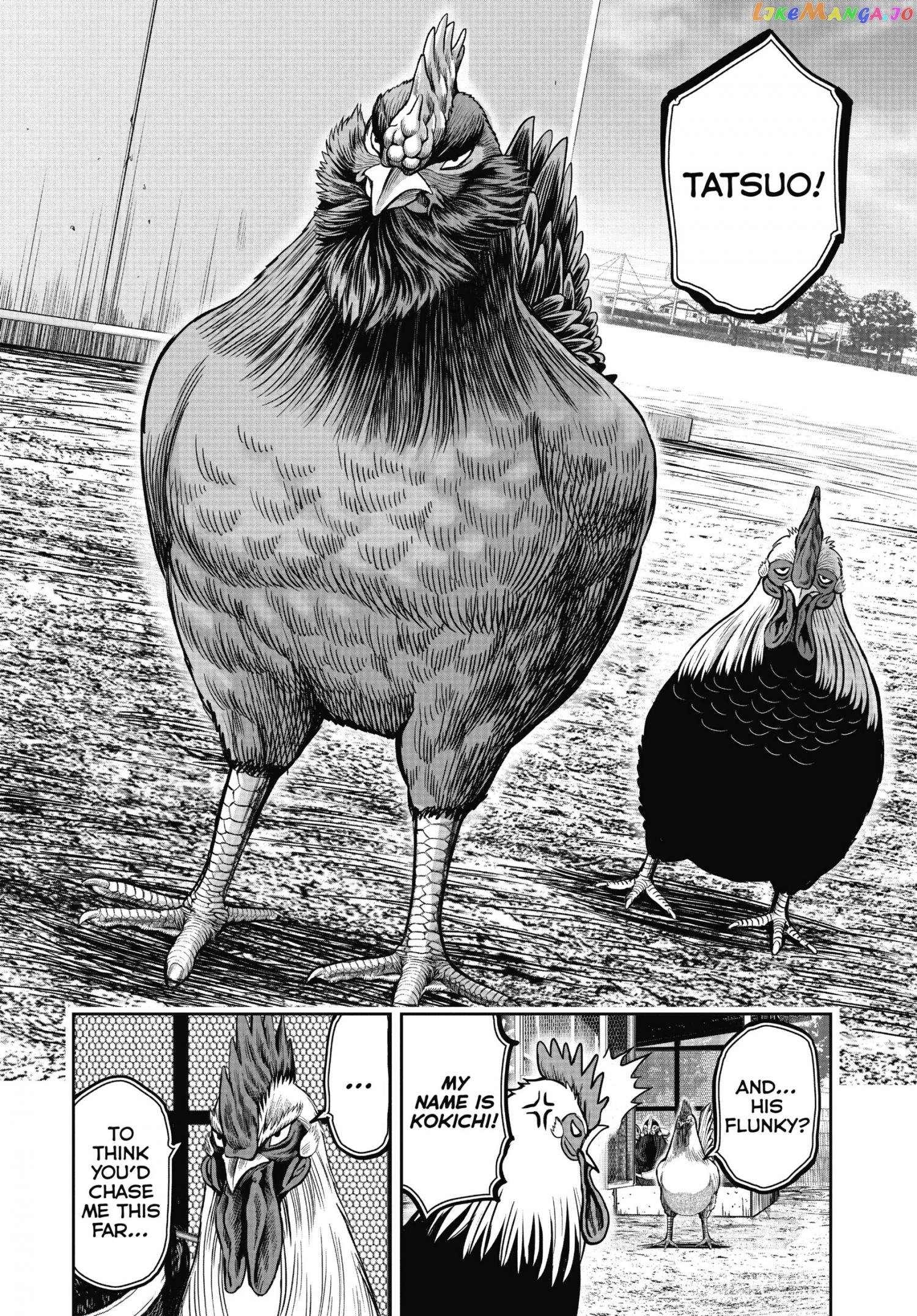Rooster Fighter Chapter 11 - Page 18