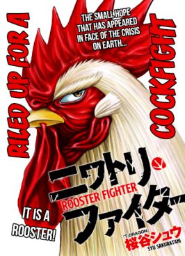 Rooster Fighter Chapter 2 - Page 3