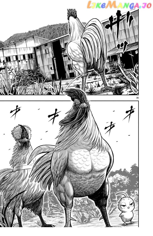 Rooster Fighter Chapter 21 - Page 35