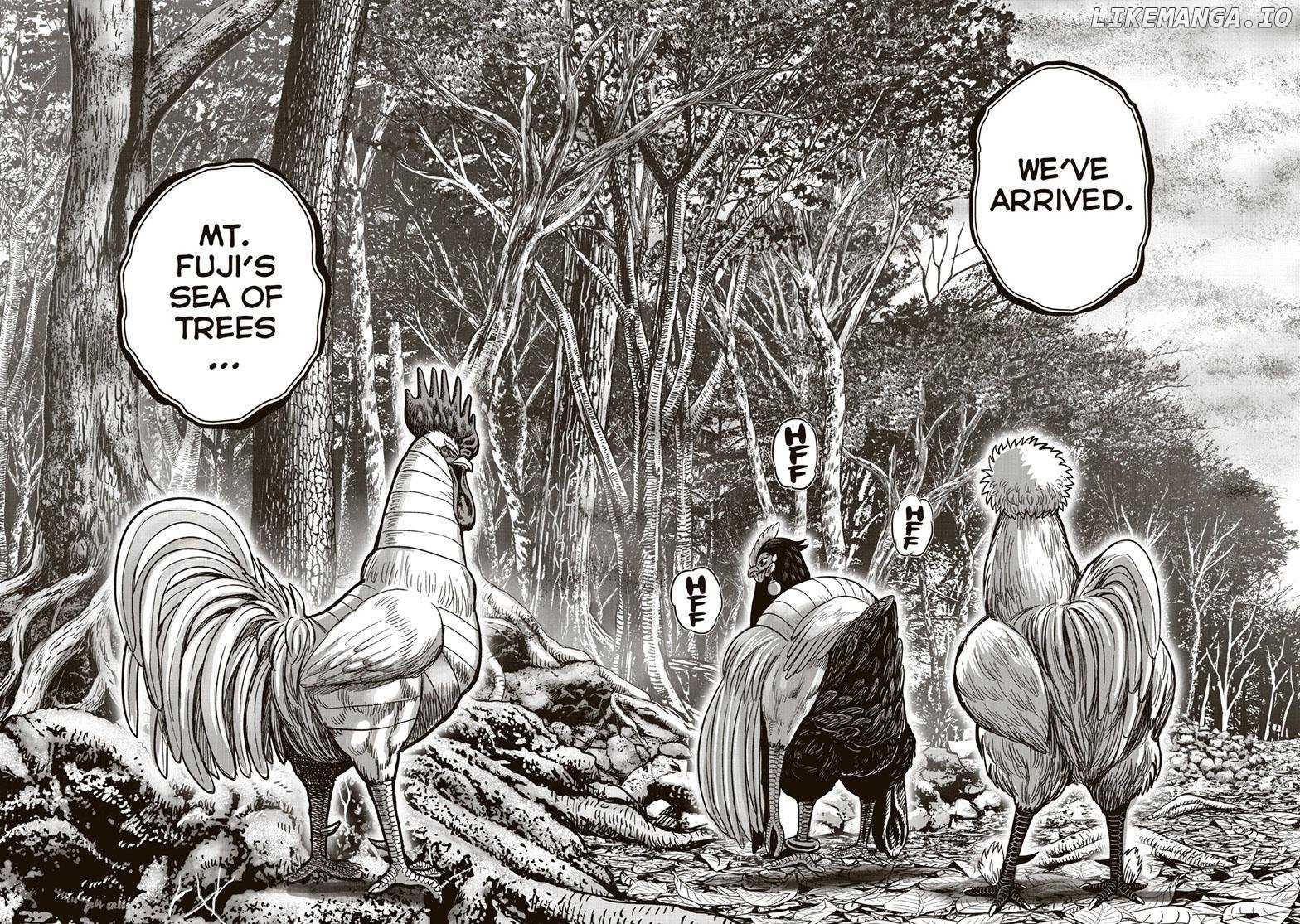Rooster Fighter Chapter 36 - Page 23