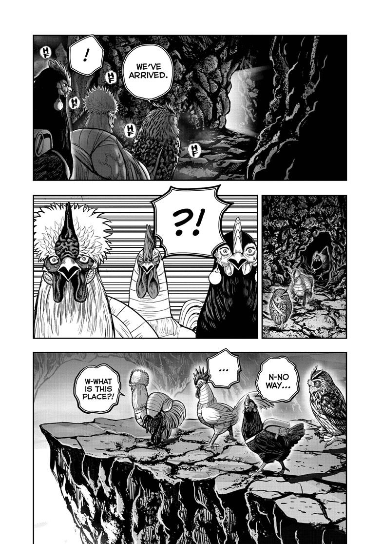 Rooster Fighter Chapter 43 - Page 9