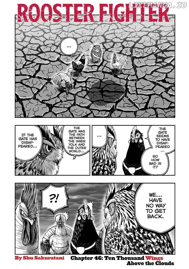 Rooster Fighter Chapter 46 - Page 1
