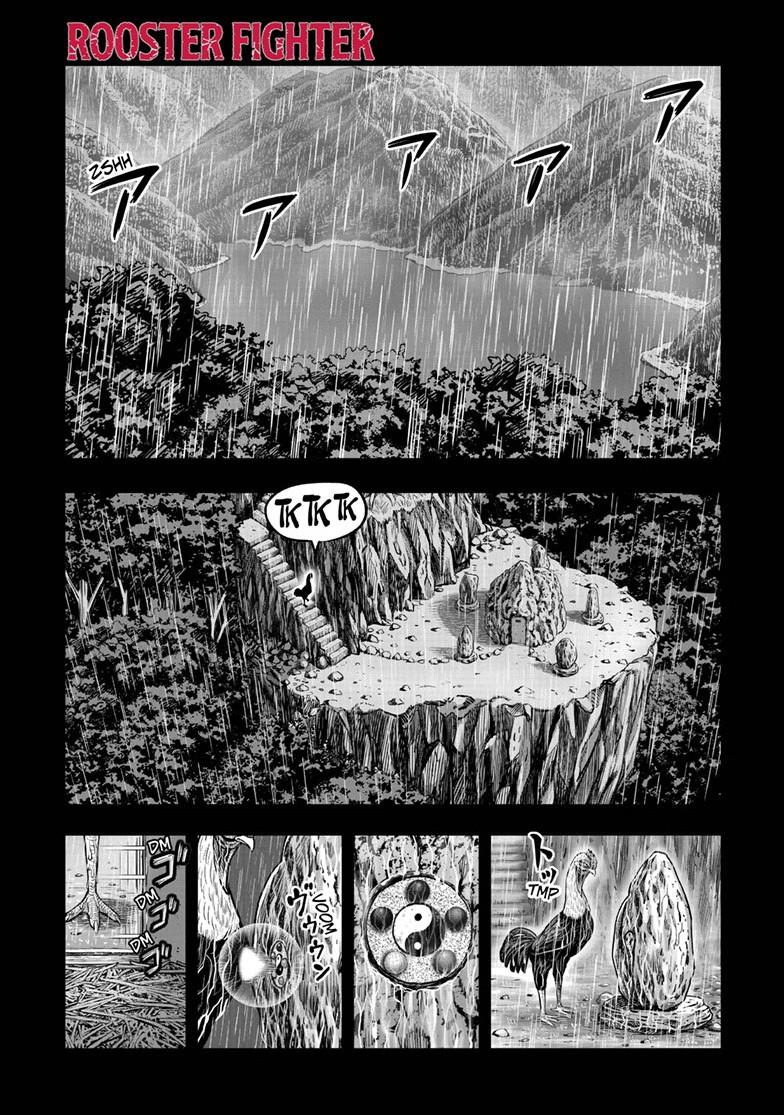 Rooster Fighter Chapter 53 - Page 1