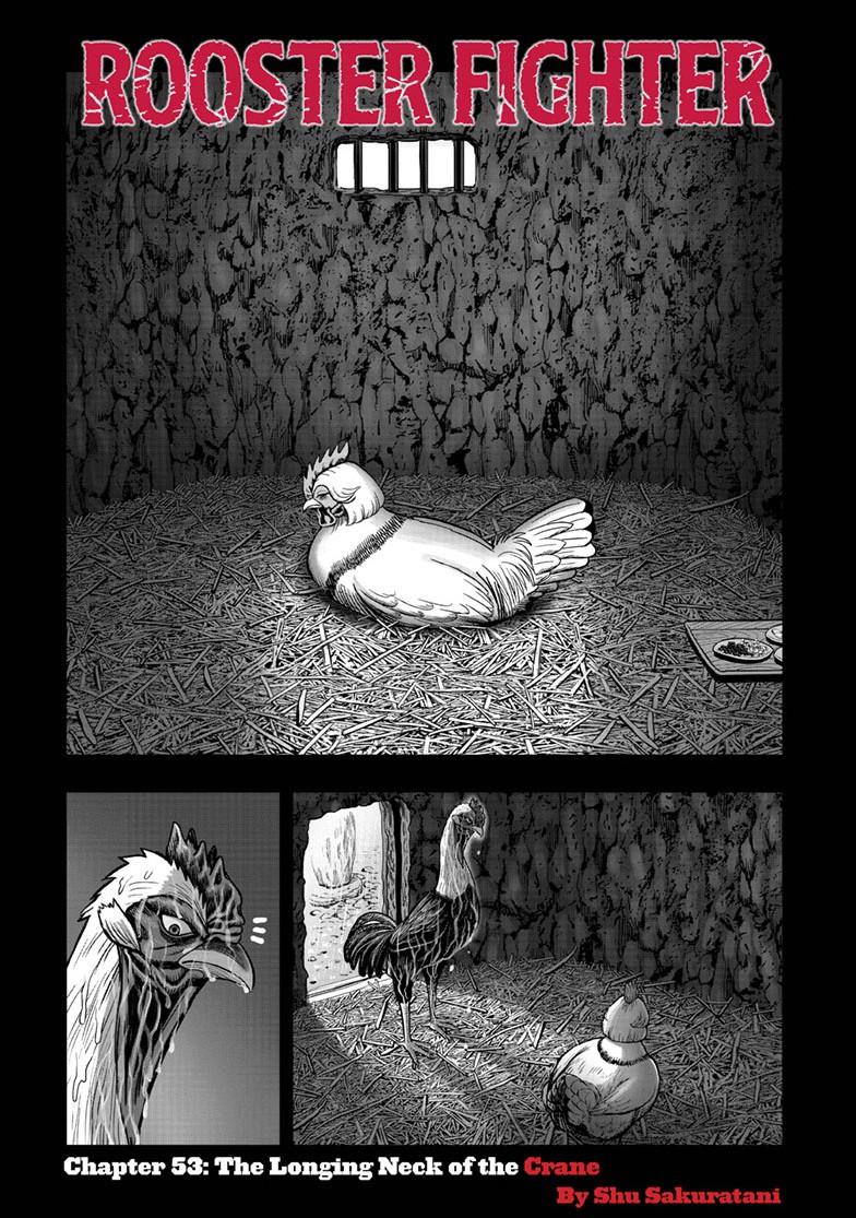Rooster Fighter Chapter 53 - Page 2