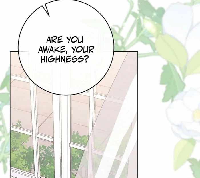 Royal Shop of Young Lady Chapter 188 - Page 12