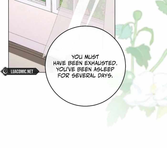 Royal Shop of Young Lady Chapter 188 - Page 13