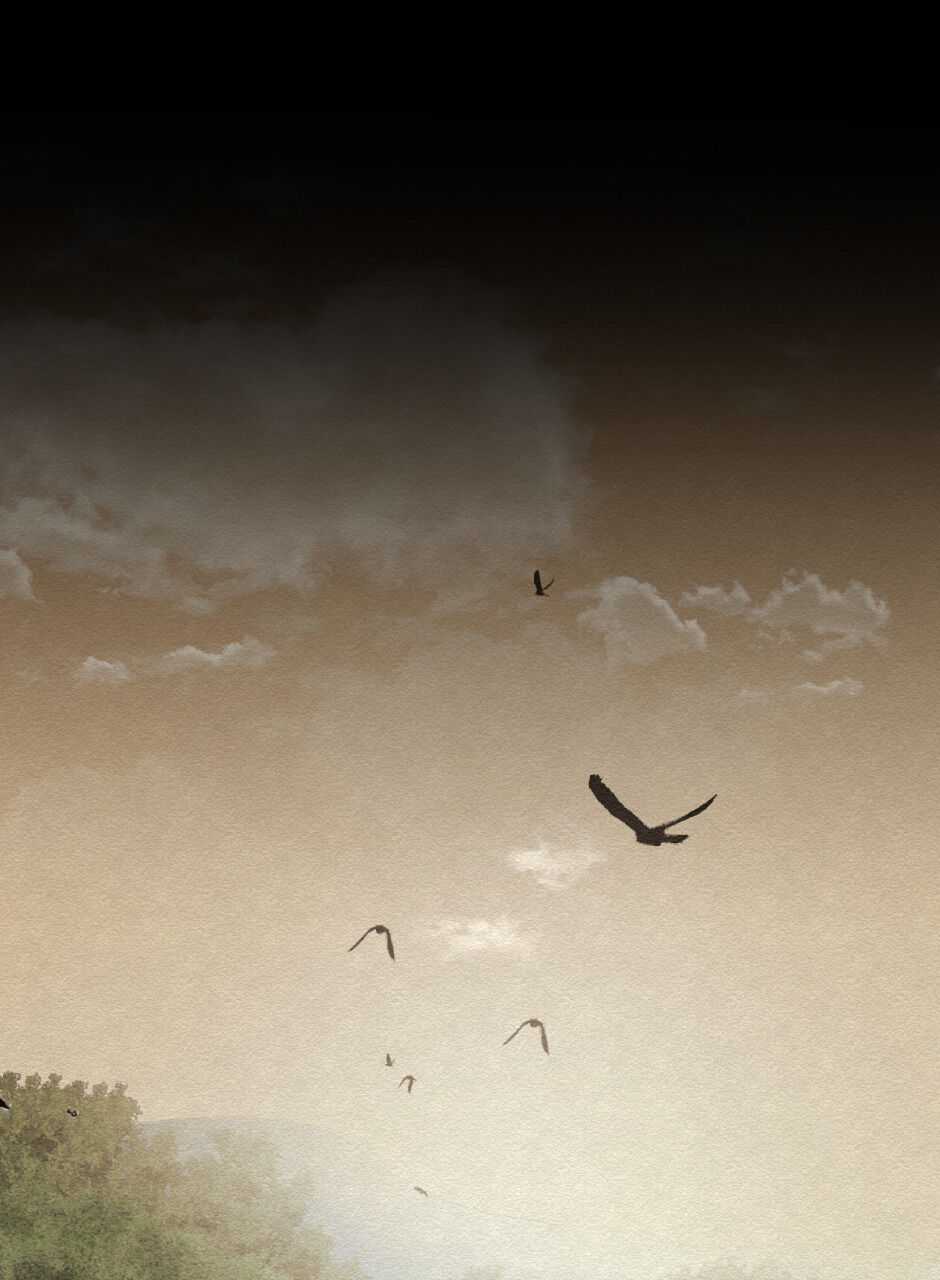Safe As Houses Chapter 9 - Page 14