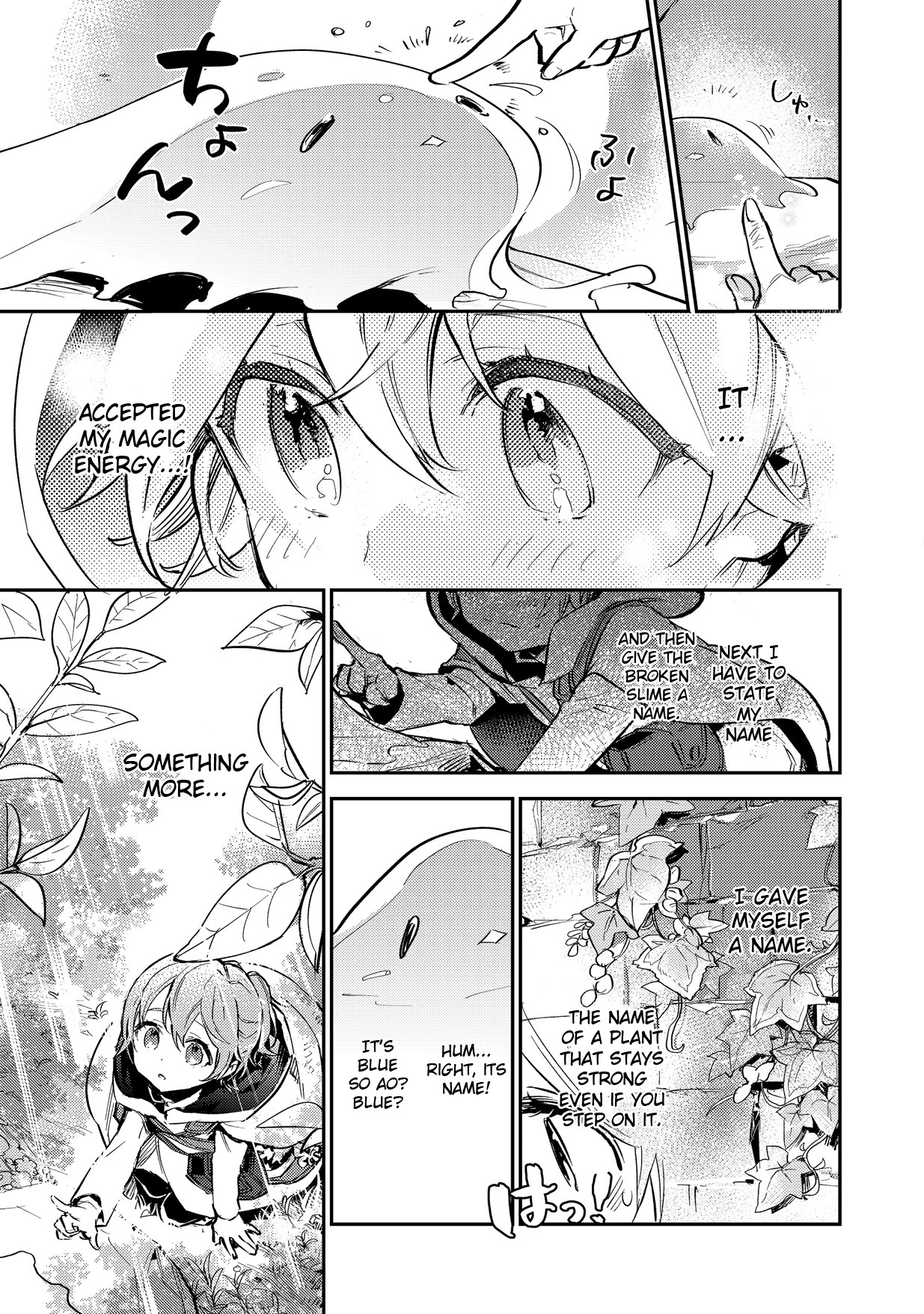 Saijaku Tamer wa Gomi Hiroi no Tabi o Hajimemashita. Chapter 2.1 - Page 17