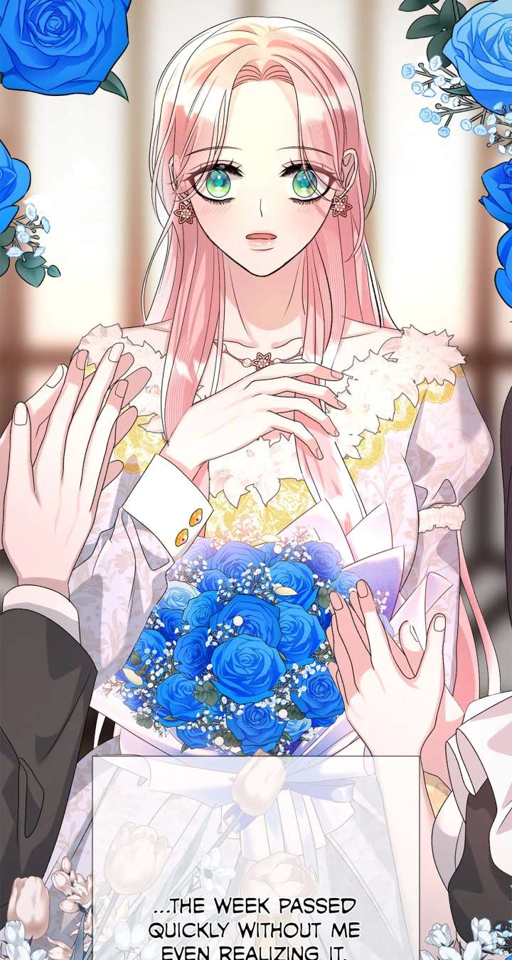 Savage Castle Chapter 83 - Page 72