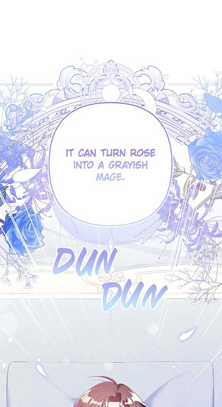 Say the Spell, Rose! Chapter 37 - Page 1