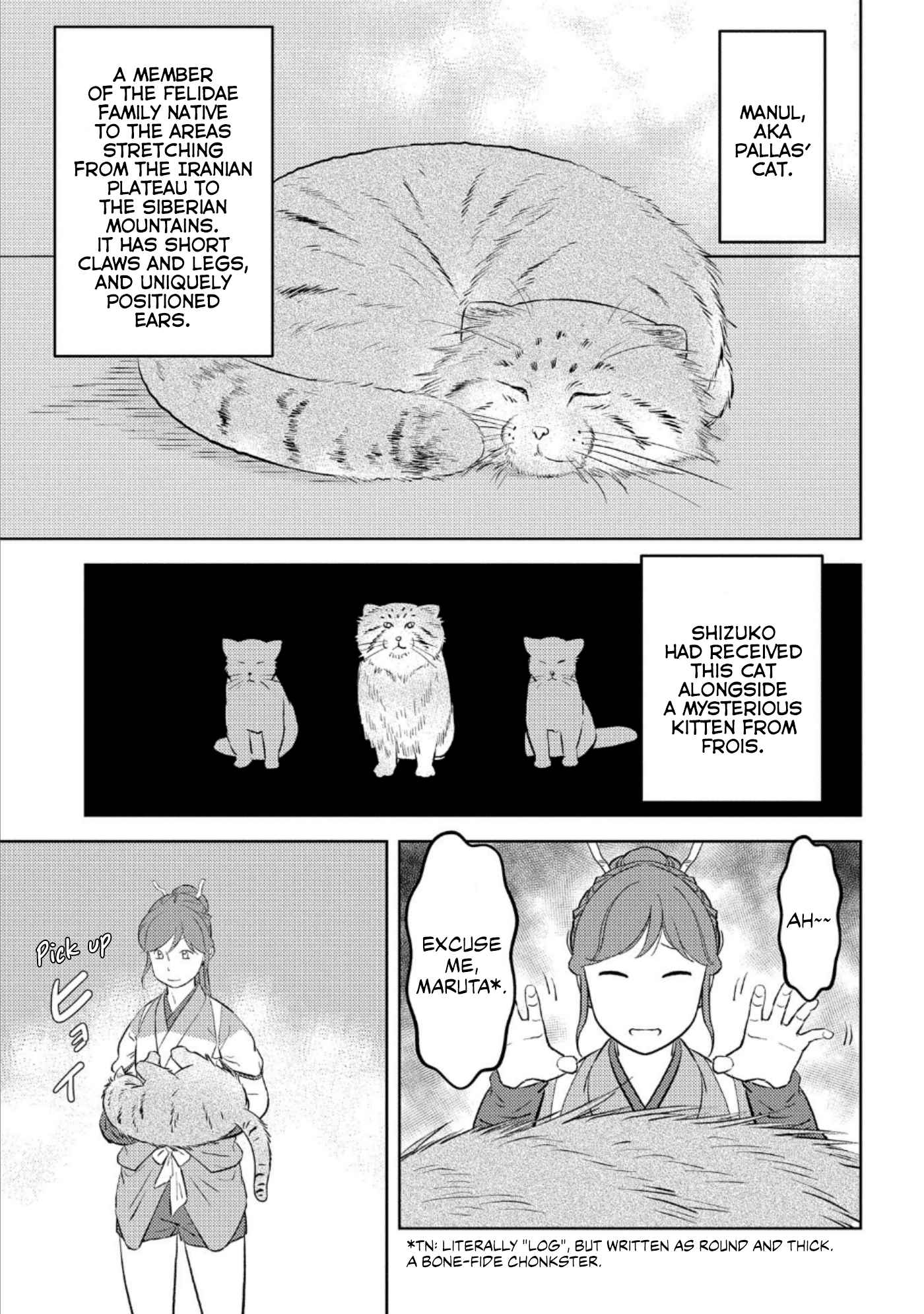Sengoku Komachi Kuroutan: Noukou Giga Chapter 57 - Page 13