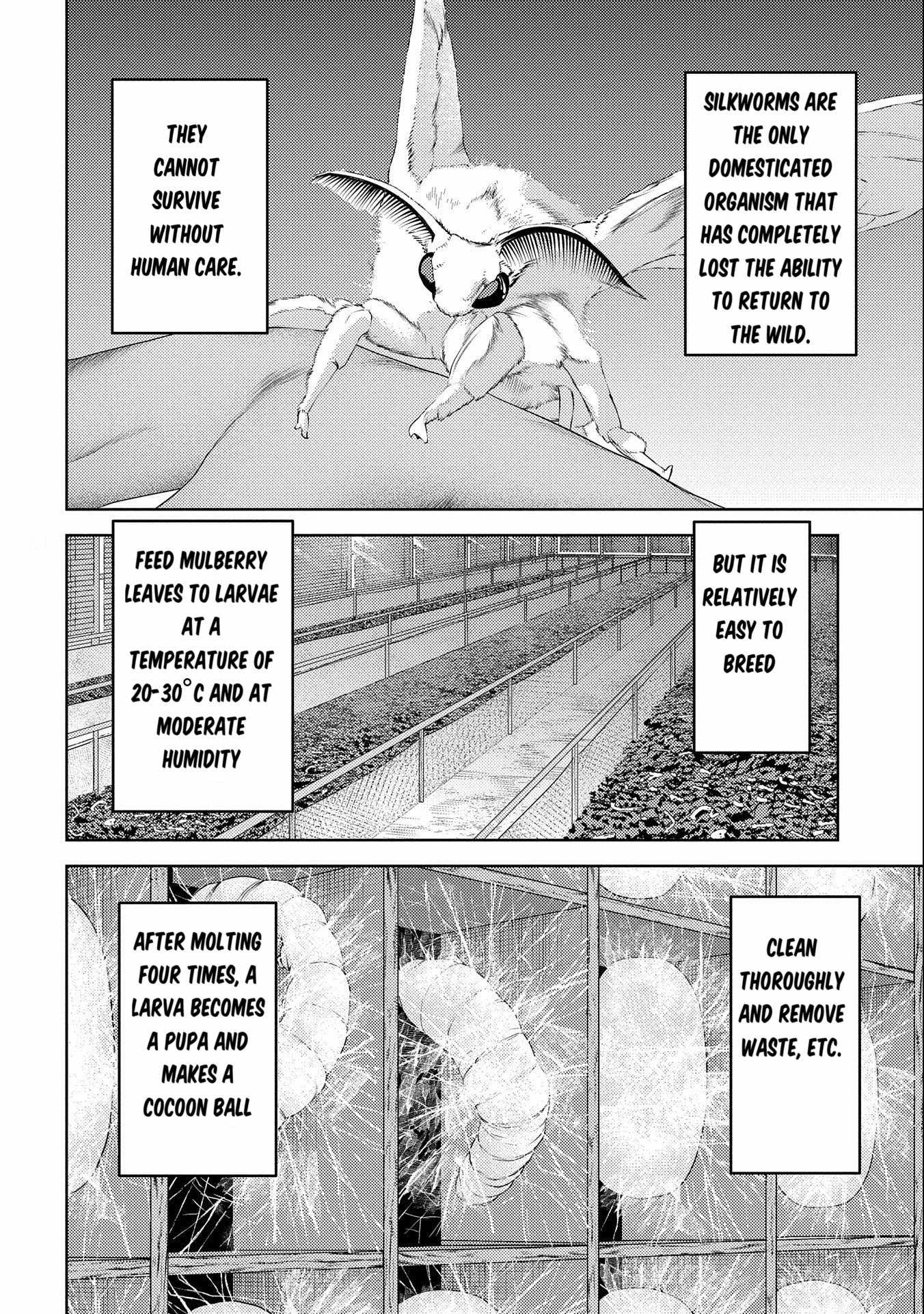 Sengoku Komachi Kuroutan: Noukou Giga Chapter 74 - Page 5