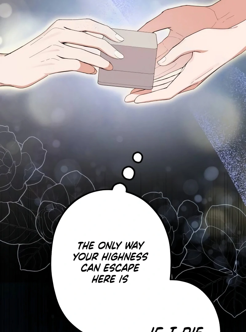 Shadow Princess Chapter 17 - Page 43
