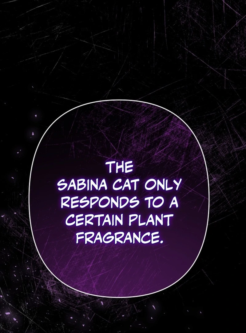 She Wasn’t My Daugther Chapter 42 - Page 136