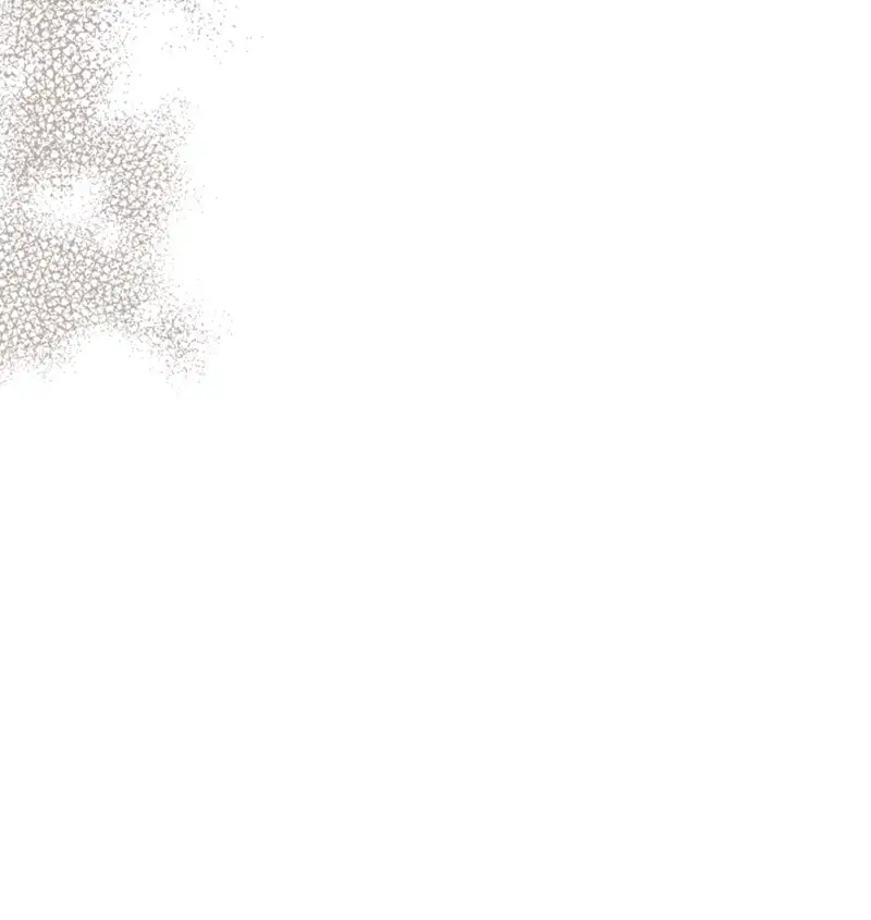 Silver Tree Chapter 24 - Page 146